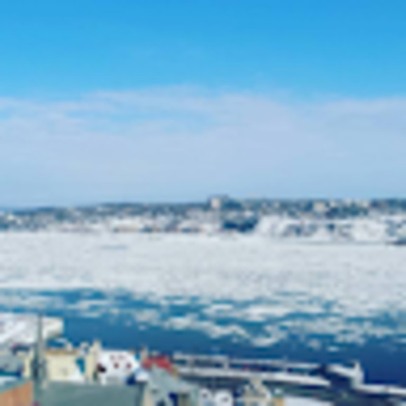 Meet your Posher, Olivia - Picture 1 of 1